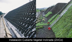 Cubiertas Vegetales